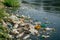 Waterway Menace: Plastic Pollution\\\'s Silent Onslaught.