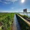 waterways for irrigation originating from swamps