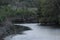 Waterways run throughout the Greenway on Amelia Island