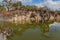 Waterwheel in small pond