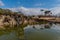 Waterwheel in small pond