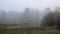 Watery field in Kampinos National Park, Poland