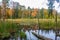 Watery path through a swamp in autumn