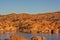 Watson Lake Moonrise