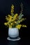 Wattle blossoms in a white glass vase on black. Wattle Day image. Australia