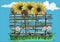 Wattle fence, sunflowers and camomiles
