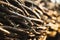 Wattle fence of willow branches.