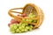 Wattled basket with grapes