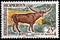 Watussi Cattle Stamp