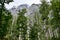 Watzmann and its forest in Berchtesgadener nature reserve