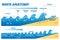 Wave anatomy vector illustration. Water movement physics explanation scheme