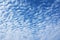 Wave clouds and sky background. Wave white clouds and blue sky background texture