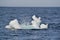 Wave crashing against small iceberg bit floating in sea