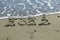 Wave erasing message on beach sand