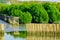 Wave protection fence made from dry bamboos at mangrove forest i