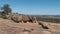 Wave Rock, Western Australia