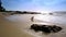 Wave Rolls to Girl Silhouette in Yoga on Beach Aerial View