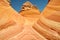 The The Wave, Sandstone Curve (Arizona)
