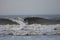 A wave surfer in the waves of the Northsea in Noordwijk