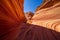 The Wave Vermillion Cliffs Arizona USA