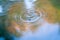 Wave water reflection from tadpole background