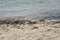 Waves along the beach clash with sand, gravel and sand.