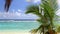 Waves on a beach with palm tree