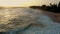 waves on the beach at sunset, palm trees