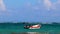 Waves boats pelicans caribbean coast and beach panorama Tulum Mexico