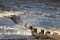 Waves breaking on shore by wooden groyne, Fleetwood