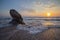 Waves, coastal rocks, dawn in the sea