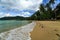 Waves crash on curving tropical beach lined with palm trees