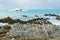 Waves crash over distant rocks beyond jagged shoreline rock uplifted in 2016 earthquake in Kaikoura, South Island New zealand