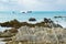 Waves crash over distant rocks beyond jagged shoreline rock uplifted in 2016 earthquake in Kaikoura, South Island New zealand