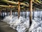 Waves crashing the pillars under the Santa Monica Pier - Santa Monica, Los Angeles, LA, California, CA