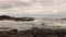 Waves crashing on rocks in Botany Bay beside Botanical Beach at Juan De Fuca Provincial Park, near Port Renfrew, British