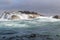 Waves crashing on rocks with sealions