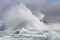 Waves crashing on rocks with sealions