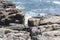 Waves crashing on Rocky Coastline, Acadia