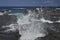 Waves crushing over lava rocks on the shoreline of the galapagos islands.