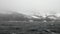 Waves and fog on background of snow rock in ocean of Antarctica.