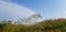 Waves of Grain - Landscape with Golden Field and Blue Sky with White Clouds