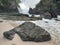 The waves hit the rocks on the beach very loudly and rumbled