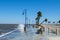 Waves and Leaning Palm Tree on Lake Pontchartrain After Hurricane Zeta