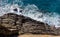 Waves near rocks of Ligurian coastline, Italy