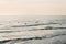 Waves in the Pacific Ocean at sunset, in Newport Beach, Orange County, California