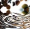 Waves, ripple and nature with water drop pattern with mockup for 3d, digital or texture. Environment, design and