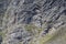 waves of rocks on cliffs at Langeberge range aerial, South Africa