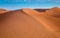 Waves of sand dunes in the Sahara desert at sunrise