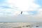 Waves on the shore. Sea wave on a sandy beach with sunlight and seagull on blue sky.